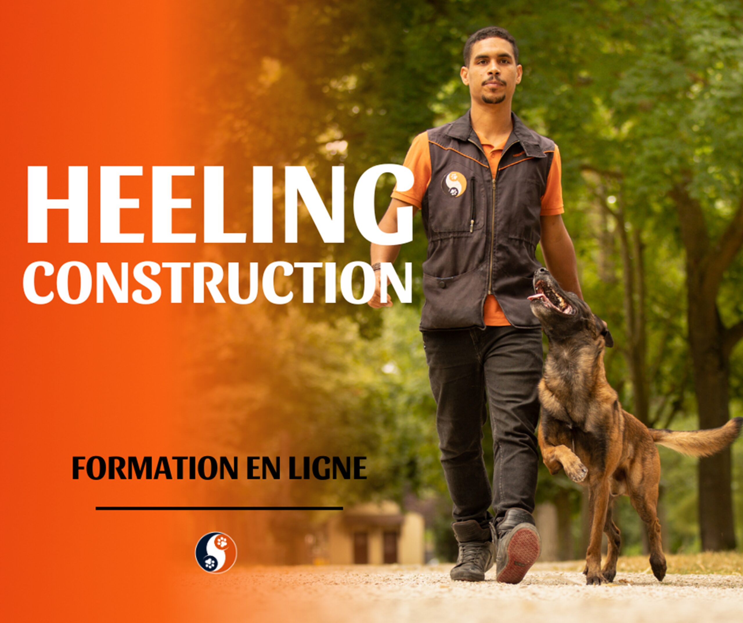 Canalise ton chien
