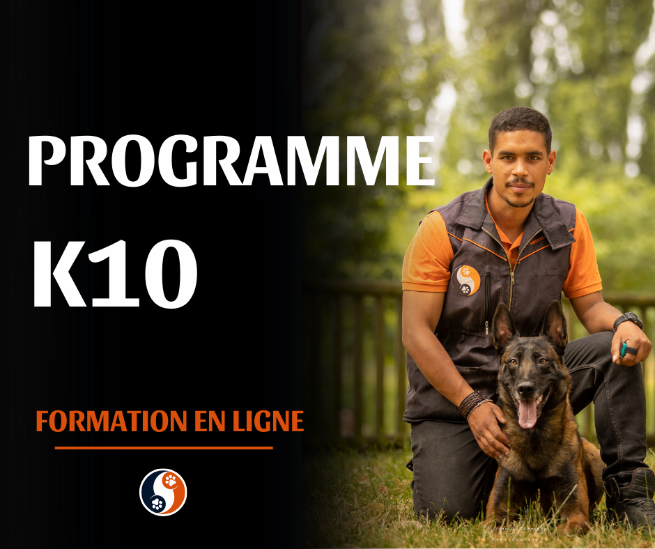 Canalise ton chien