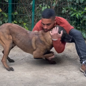 MANIPULER SON CHIEN