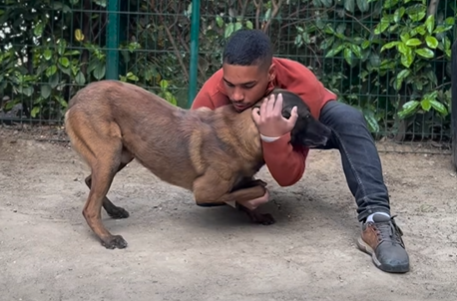 MANIPULER SON CHIEN