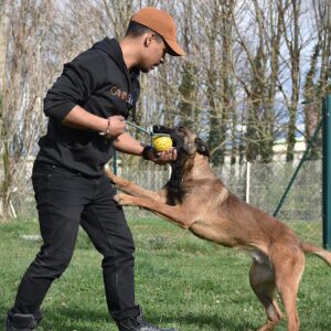 Dans mes entraînements #spéciale ring